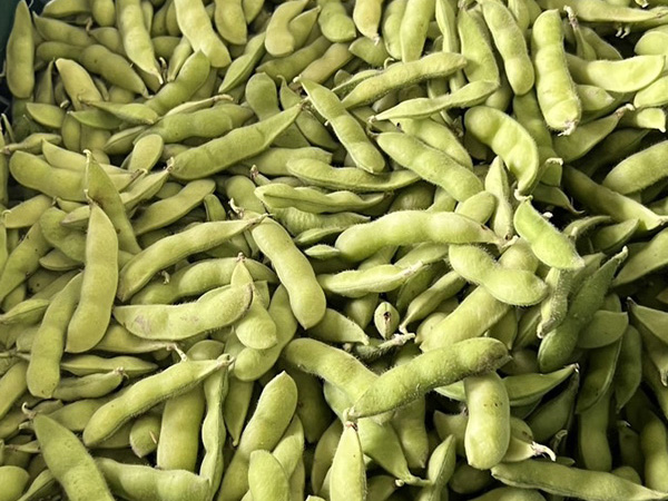 枝豆
