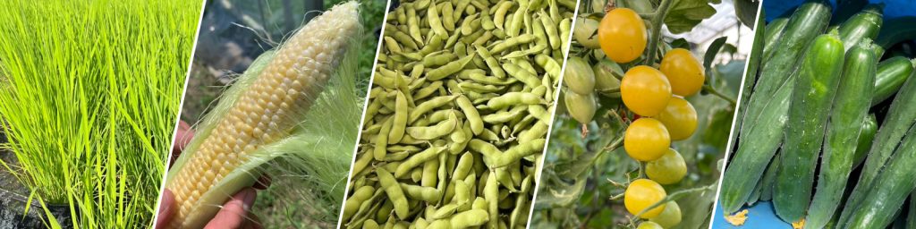 野菜ページのヘッダー